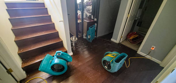Best Water damage restoration insurance claims  in Noyack, NY
