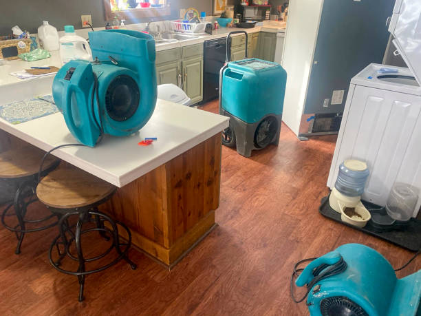 Best Local water damage restoration  in Noyack, NY