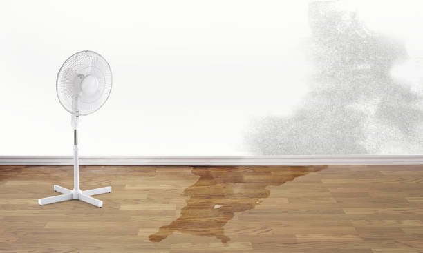 Best Sewage cleanup and water damage restoration  in Noyack, NY