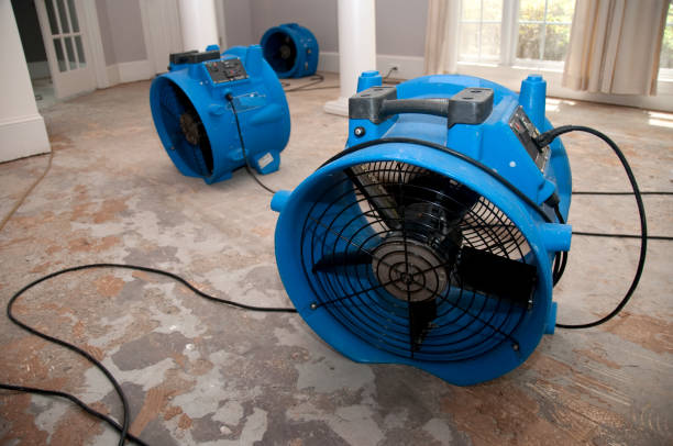 Best Flood damage cleanup  in Noyack, NY