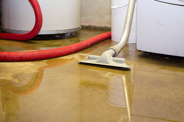 Best Mold removal after water damage  in Noyack, NY
